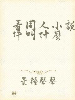 看同人小说的软件叫什么