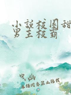 小说校园甜宠文男主校霸