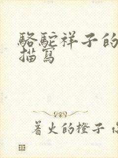 骆驼祥子的外貌描写