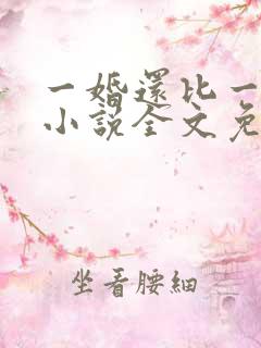 一婚还比一婚高小说全文免费阅读