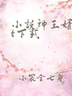 小说神王婿txt下载