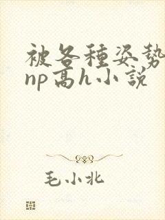 被各种姿势玩弄np高h小说