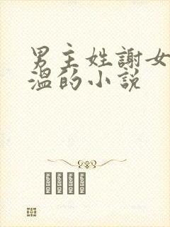 男主姓谢女主姓温的小说