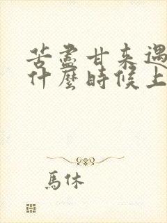 苦尽甘来遇见你什么时候上映的