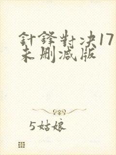 针锋对决17章未删减版