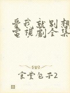 爱我就别想太多电视剧全集免费观看完整版