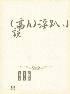 (高h)淫趴小说