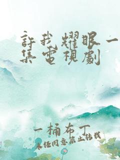 许我耀眼一共几集电视剧