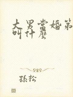 大男当婚第二部叫什么