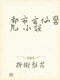 都市古仙医叶不凡 小说