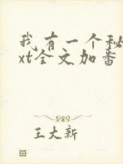 我有一个秘密txt全文加番外