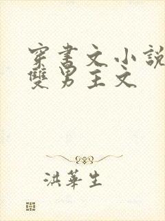 穿书文小说推荐双男主文