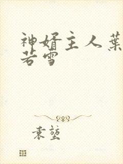 神婿主人叶凡唐若雪