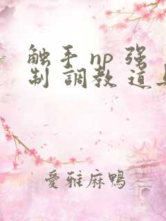 触手 np 强制 调教 道具 文