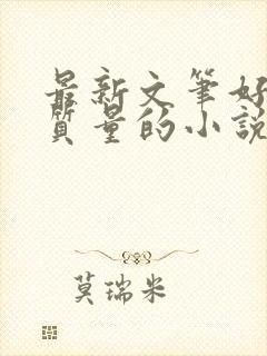 最新文笔好的高质量的小说推荐