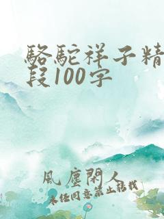 骆驼祥子精彩句段100字