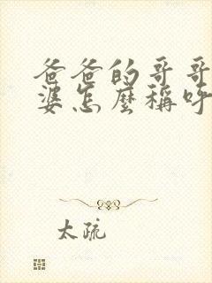 爸爸的哥哥的老婆怎么称呼