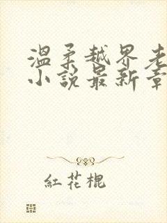 温柔越界老李的小说最新章节免费阅读