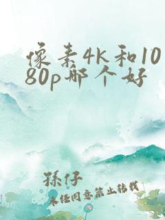 像素4k和1080p哪个好