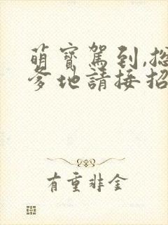 萌宝驾到,总裁爹地请接招