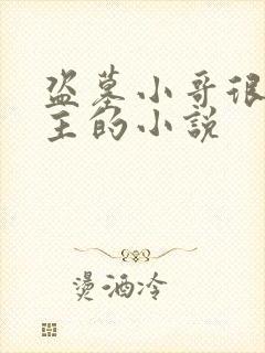 盗墓小哥很宠男主的小说