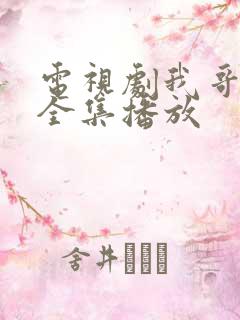 电视剧我哥我嫂全集播放