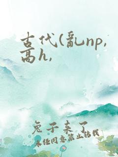 古代(乱np,高h,