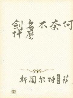 剑名不奈何讲了什么