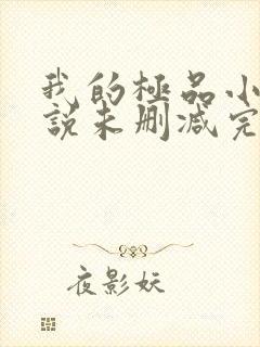 我的极品小姨小说未删减完整版