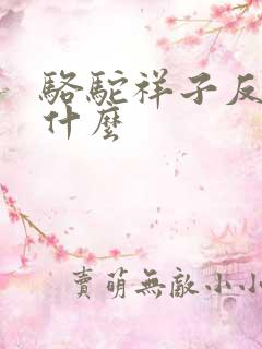 骆驼祥子反映了什么