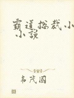 霸道总裁小娇妻 小说