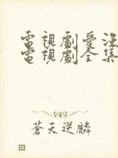 电视剧爱没有错电视剧全集免费观看