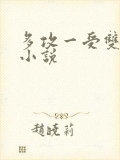 多攻一受双男主小说