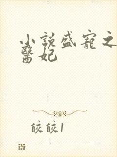 小说盛宠之替嫁医妃