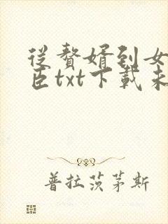 从赘婿到女帝宠臣txt下载未删减