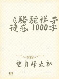 《骆驼祥子》读后感 1000字