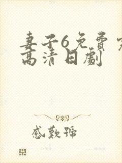 妻子6免费完整高清日剧
