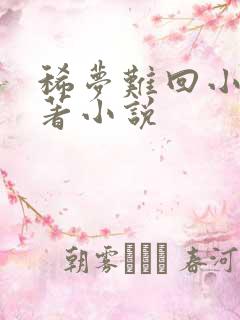 稀梦难回小说原著小说