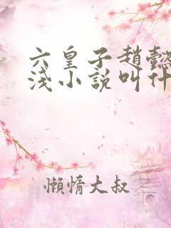 六皇子赵懿苏浅浅小说叫什么