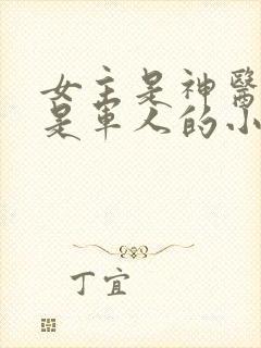 女主是神医男主是军人的小说