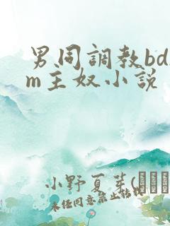 男同调教bdsm主奴小说