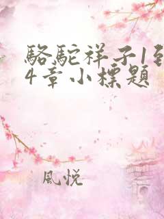 骆驼祥子1到24章小标题