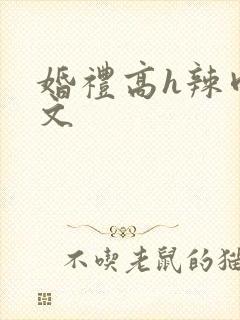 婚礼高h辣肉嗨文