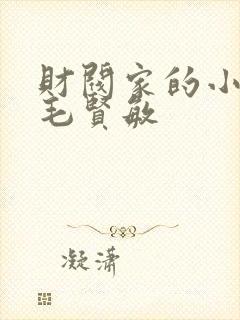 财阀家的小儿子毛贤敏