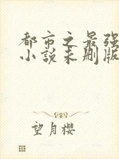 都市之最强狂兵小说未删版完整