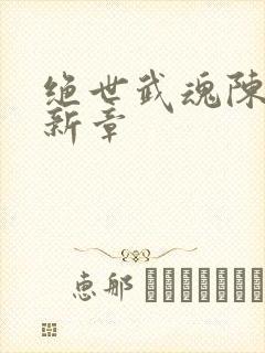 绝世武魂陈枫最新章