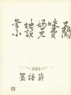 爹地妈咪又跑了小说免费阅读