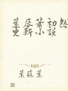 叶辰萧初然最快更新小说