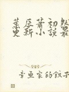 叶辰萧初然最快更新小说最新章节