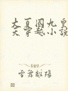 大夏国九皇子夏天穿越小说